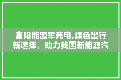 富阳能源车充电,绿色出行新选择，助力我国新能源汽车产业发展
