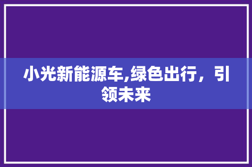 小光新能源车,绿色出行，引领未来