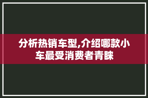 分析热销车型,介绍哪款小车最受消费者青睐