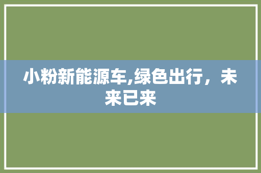 小粉新能源车,绿色出行，未来已来