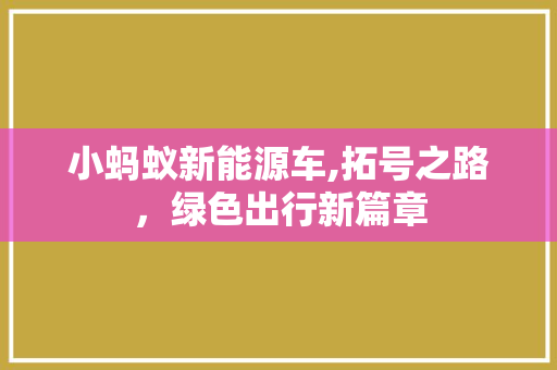 小蚂蚁新能源车,拓号之路，绿色出行新篇章
