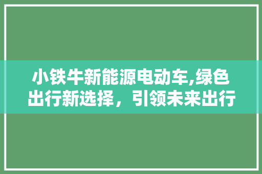小铁牛新能源电动车,绿色出行新选择，引领未来出行潮流