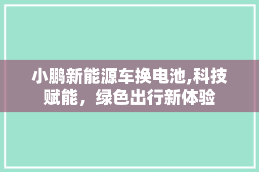 小鹏新能源车换电池,科技赋能，绿色出行新体验