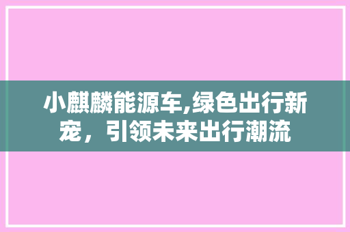 小麒麟能源车,绿色出行新宠，引领未来出行潮流