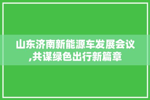 山东济南新能源车发展会议,共谋绿色出行新篇章