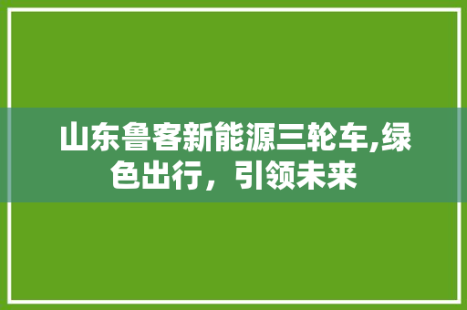 山东鲁客新能源三轮车,绿色出行，引领未来