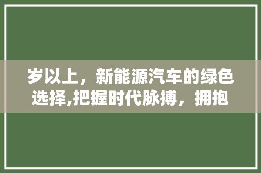 岁以上，新能源汽车的绿色选择,把握时代脉搏，拥抱绿色未来