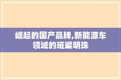 崛起的国产品牌,新能源车领域的璀璨明珠