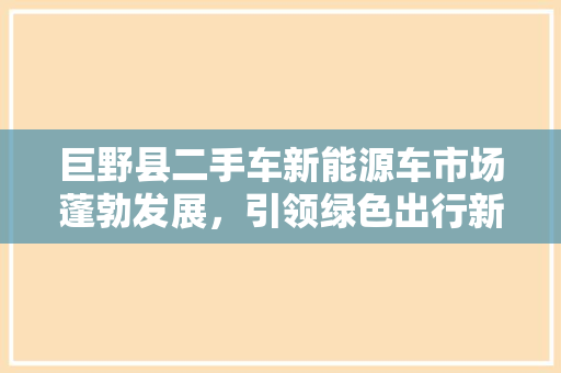 巨野县二手车新能源车市场蓬勃发展，引领绿色出行新风尚