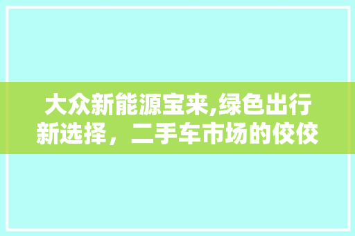 大众新能源宝来,绿色出行新选择，二手车市场的佼佼者
