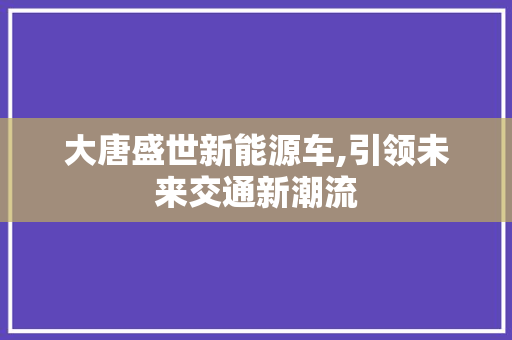 大唐盛世新能源车,引领未来交通新潮流