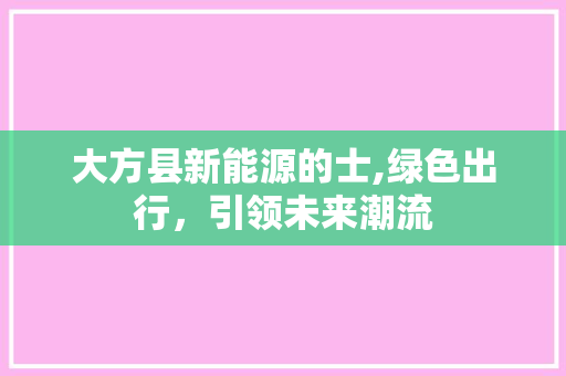 大方县新能源的士,绿色出行，引领未来潮流