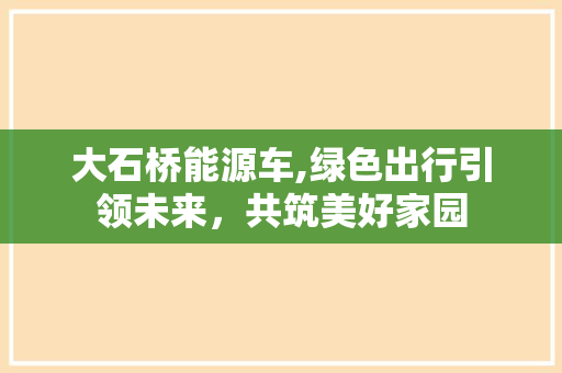 大石桥能源车,绿色出行引领未来，共筑美好家园