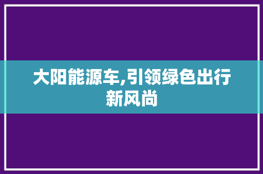 大阳能源车,引领绿色出行新风尚