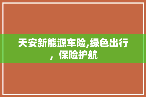 天安新能源车险,绿色出行，保险护航
