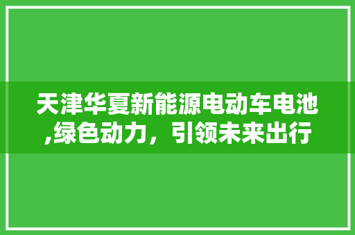 天津华夏新能源电动车电池,绿色动力，引领未来出行新风尚