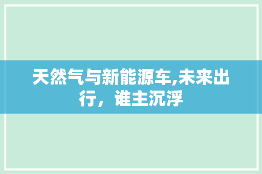 天然气与新能源车,未来出行，谁主沉浮