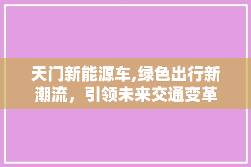天门新能源车,绿色出行新潮流，引领未来交通变革