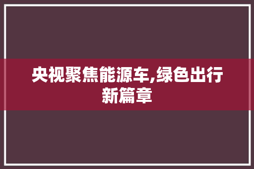 央视聚焦能源车,绿色出行新篇章
