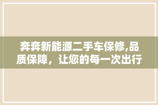 奔奔新能源二手车保修,品质保障，让您的每一次出行都安心