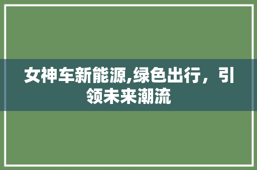 女神车新能源,绿色出行，引领未来潮流