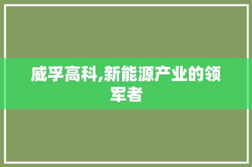 威孚高科,新能源产业的领军者