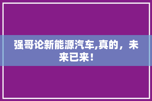 强哥论新能源汽车,真的，未来已来！