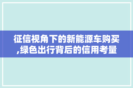 征信视角下的新能源车购买,绿色出行背后的信用考量