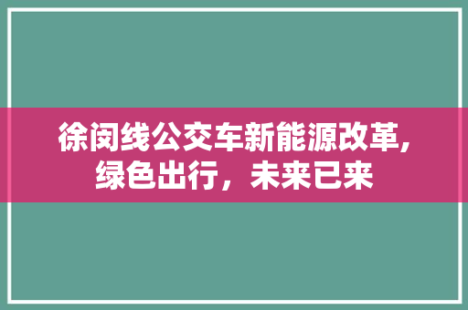 徐闵线公交车新能源改革,绿色出行，未来已来