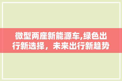 微型两座新能源车,绿色出行新选择，未来出行新趋势