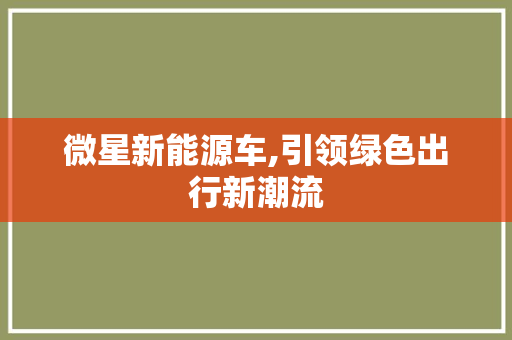 微星新能源车,引领绿色出行新潮流