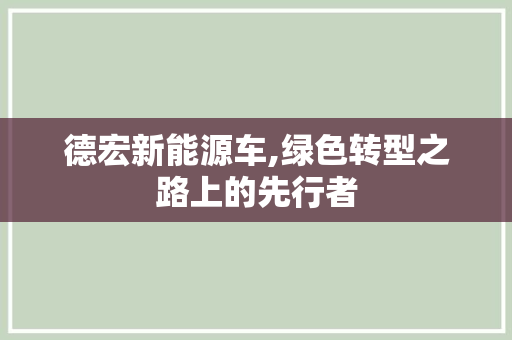 德宏新能源车,绿色转型之路上的先行者