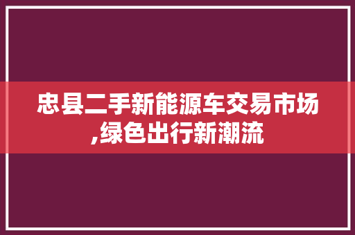 忠县二手新能源车交易市场,绿色出行新潮流