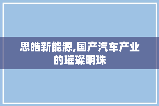 思皓新能源,国产汽车产业的璀璨明珠