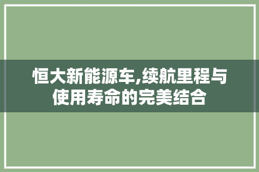 恒大新能源车,续航里程与使用寿命的完美结合