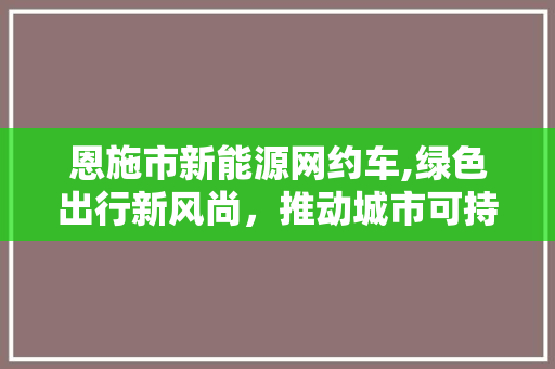 恩施市新能源网约车,绿色出行新风尚，推动城市可持续发展