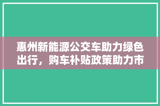 惠州新能源公交车助力绿色出行，购车补贴政策助力市民共享绿色出行新体验