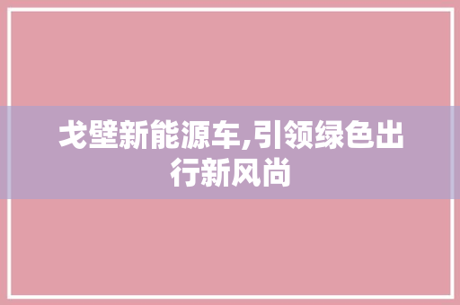 戈壁新能源车,引领绿色出行新风尚