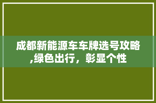 成都新能源车车牌选号攻略,绿色出行，彰显个性