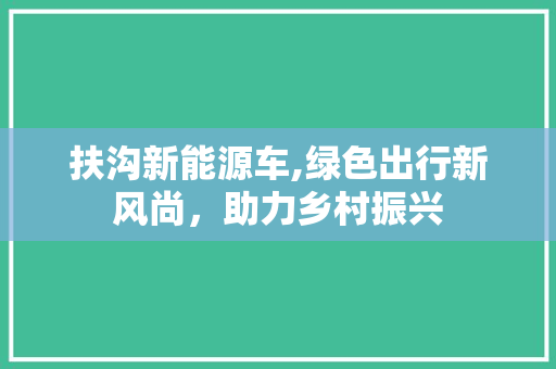 扶沟新能源车,绿色出行新风尚，助力乡村振兴