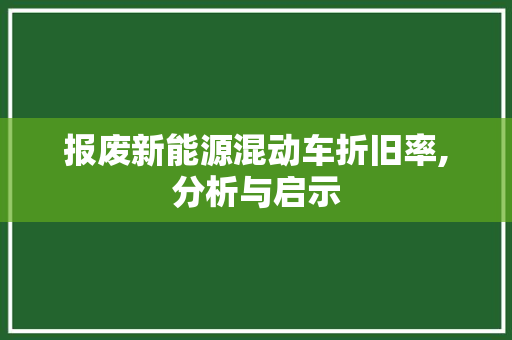 报废新能源混动车折旧率,分析与启示