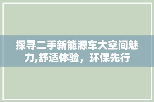 探寻二手新能源车大空间魅力,舒适体验，环保先行