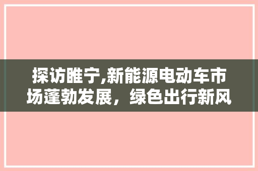 探访睢宁,新能源电动车市场蓬勃发展，绿色出行新风尚