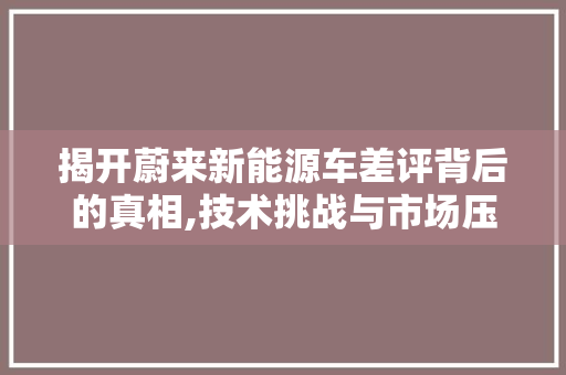 揭开蔚来新能源车差评背后的真相,技术挑战与市场压力并存