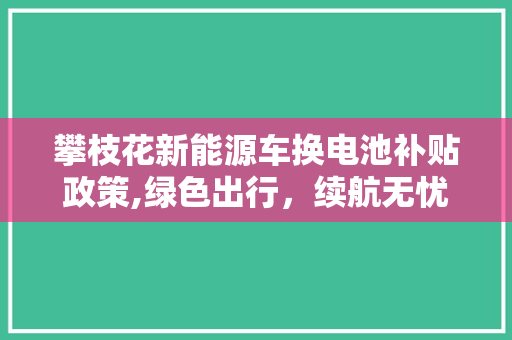 攀枝花新能源车换电池补贴政策,绿色出行，续航无忧