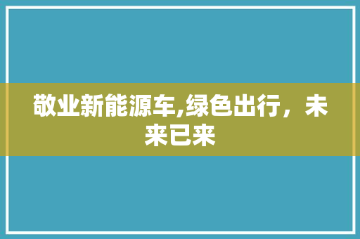 敬业新能源车,绿色出行，未来已来