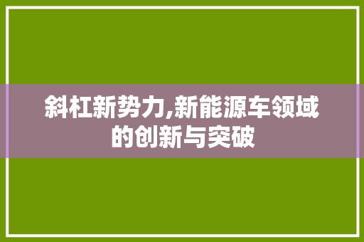 斜杠新势力,新能源车领域的创新与突破