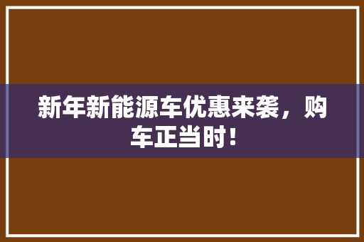 新年新能源车优惠来袭，购车正当时！