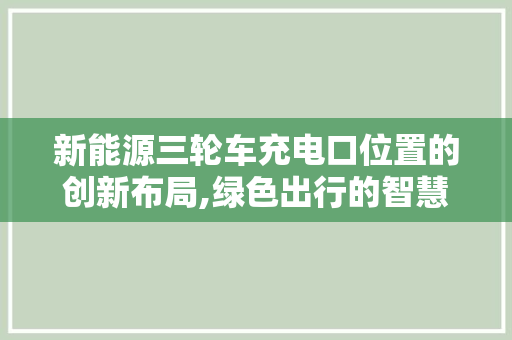 新能源三轮车充电口位置的创新布局,绿色出行的智慧选择