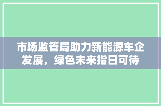 市场监管局助力新能源车企发展，绿色未来指日可待